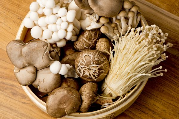 天然きのこ ハナビラタケ キノコ 茸 大自然の凛さん採取 山形県産 その4 天然きのこ ハナビラタケ キノコ 茸 大自然の凛さん採取 山形県