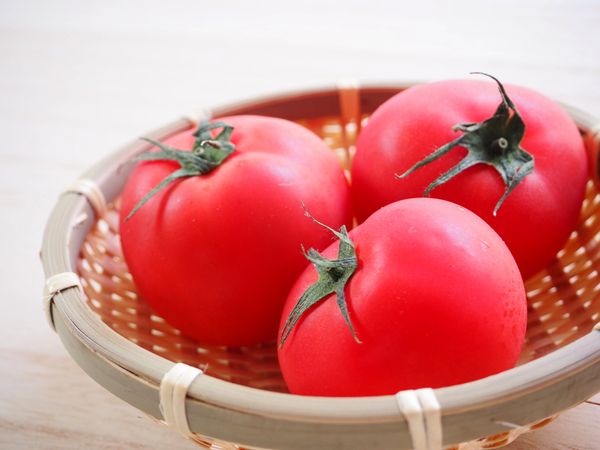 フレッシュなトマトをお取り寄せ♪人気おすすめの16品とは？の画像