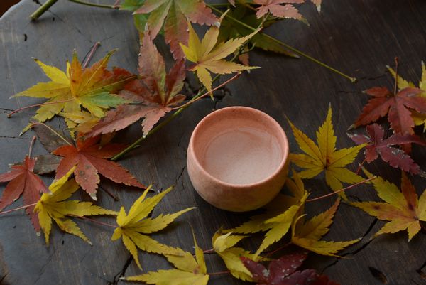 佐賀の日本酒人気おすすめ15品！海外でも注目される日本のSAKEを味わおうの画像