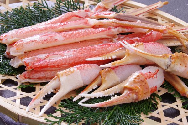 ふるさと納税のズワイガニのおすすめ人気18品。刺身で食べられる/セット/訳アリなどおすすめ返礼品まとめの画像