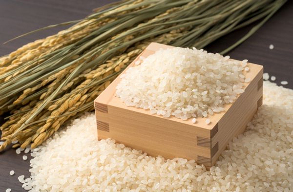 ふるさと納税の米おすすめ人気17返礼品！食べ比べできる20㎏から定期便まで米の味わいを堪能できる銘品の画像