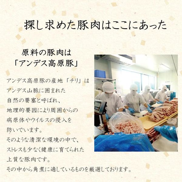 長崎角煮まんじゅう 5個入のサムネイル画像 33枚目