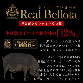 レアルベジョータ 生ハム原木セットのサムネイル画像 6枚目