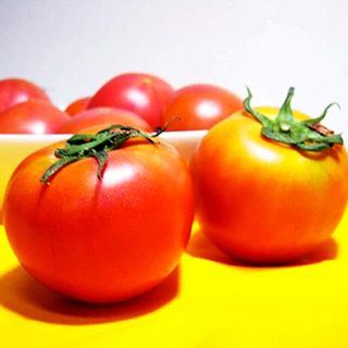 高糖度トマト 「アメーラ」のサムネイル画像 14枚目