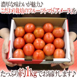 高糖度トマト 「アメーラ」のサムネイル画像 39枚目