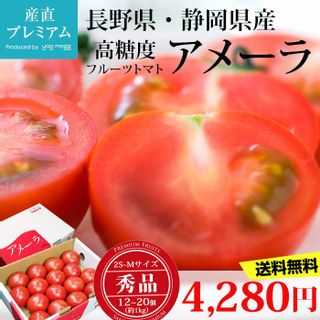 高糖度トマト 「アメーラ」のサムネイル画像 15枚目