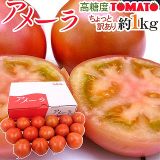 高糖度トマト 「アメーラ」のサムネイル画像 31枚目