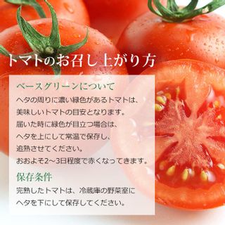 高糖度トマト 「アメーラ」のサムネイル画像 24枚目