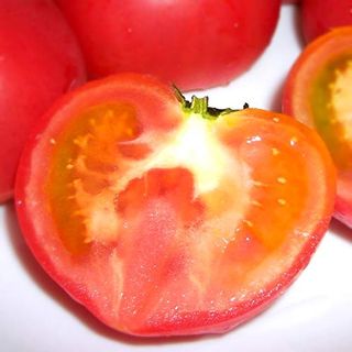 高糖度トマト 「アメーラ」のサムネイル画像 27枚目