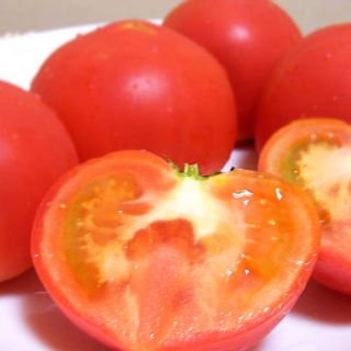高糖度トマト 「アメーラ」のサムネイル画像 26枚目