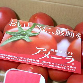 高糖度トマト 「アメーラ」のサムネイル画像 12枚目