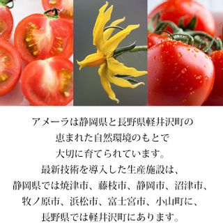 高糖度トマト 「アメーラ」のサムネイル画像 21枚目