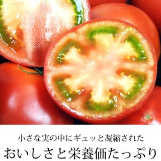 高糖度トマト 「アメーラ」のサムネイル画像 22枚目