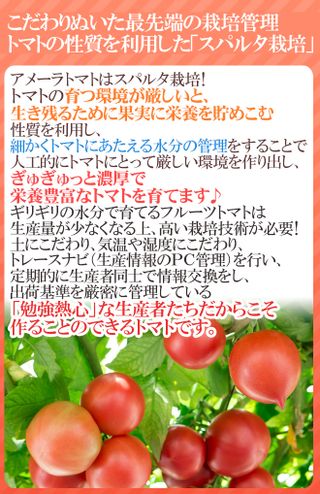 高糖度トマト 「アメーラ」のサムネイル画像 34枚目