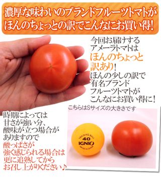 高糖度トマト 「アメーラ」のサムネイル画像 8枚目