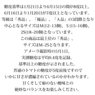 高糖度トマト 「アメーラ」のサムネイル画像 19枚目