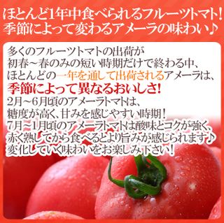 高糖度トマト 「アメーラ」のサムネイル画像 5枚目