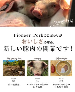 ウデ こま切れ 500g Pioneer Porkのサムネイル画像 3枚目