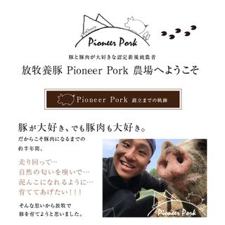 ウデ こま切れ 500g Pioneer Porkのサムネイル画像 6枚目