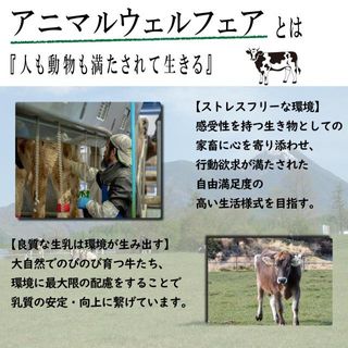 長門牧場　味噌チーズのサムネイル画像 8枚目