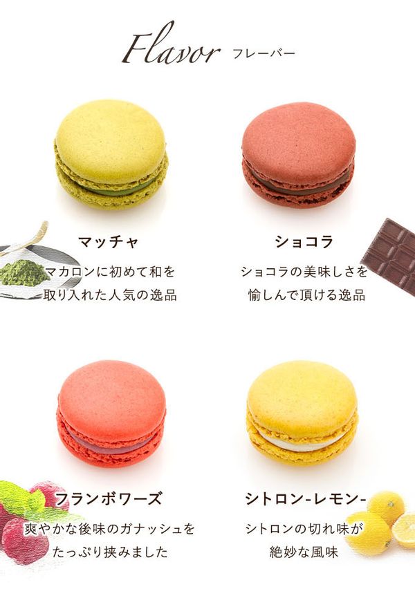 サダハルアオキパリ マカロン 10個入りのサムネイル画像 2枚目