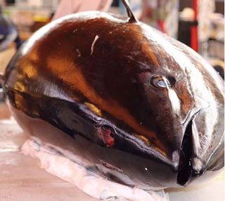 海鮮五色丼のサムネイル画像 9枚目