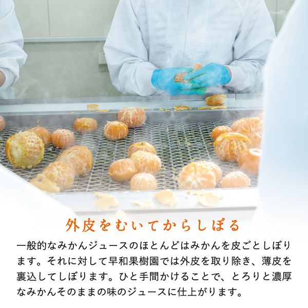 早和果樹園 飲むみかん 720mlのサムネイル画像 4枚目
