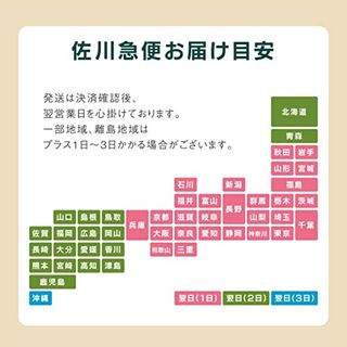 太っちょマカロン MACAPRESSO オールスター12個セット のサムネイル画像 9枚目