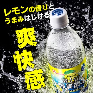 【楽天市場】炭酸水 500ml 24本 送料無料 強炭酸水 500ml×24本 富士山の強炭酸水500ml 富士山の強炭酸水 強炭酸水500ml 24本 水 ミネラルウォーター 炭酸 炭酸水 飲料 アイリス アイリスオーヤマ【代引き不可】【■】：アイリスプラザ 楽天市場店のサムネイル画像 5枚目