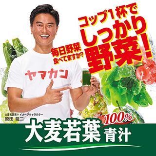 山本漢方製薬 大麦若葉100% 3g×44包のサムネイル画像 10枚目