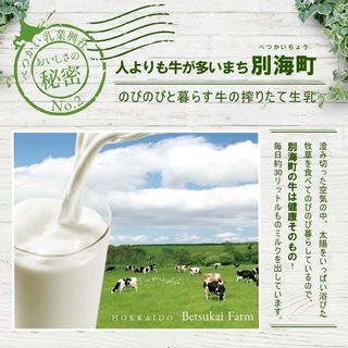 べつかいのアイスクリーム屋さん 12個セットのサムネイル画像 5枚目