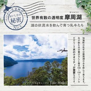 べつかいのアイスクリーム屋さん 12個セットのサムネイル画像 4枚目