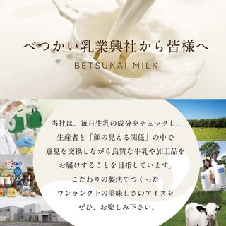 べつかいのアイスクリーム屋さん 12個セットのサムネイル画像 7枚目