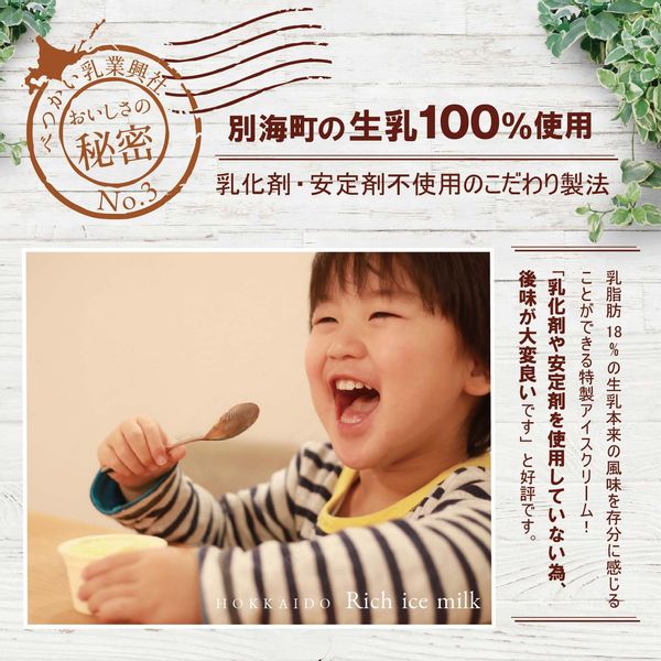 べつかいのアイスクリーム屋さん 12個セットのサムネイル画像 6枚目