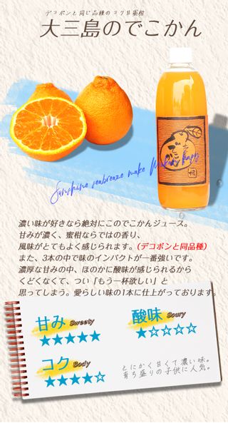 愛媛県産 島みかん ジュース 3種類セット 500ml×12本  有限会社堀田青果のサムネイル画像 4枚目