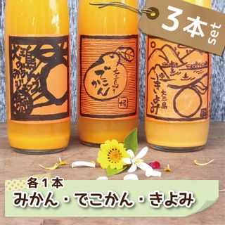 愛媛県産 島みかん ジュース 3種類セット 500ml×12本 の画像 1枚目