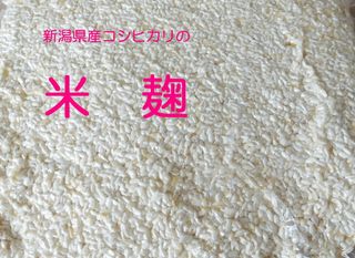 コシヒカリの米麹　 越後長岡味噌醸造　たちばな本舗のサムネイル画像 1枚目