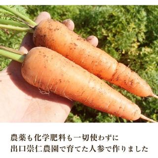 ニンジンジュース  1000ml×4本 株式会社出口崇仁農園のサムネイル画像 2枚目