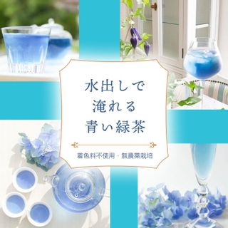 すみれが香る青い緑茶　「すみれ」　 Petit Pointのサムネイル画像 2枚目