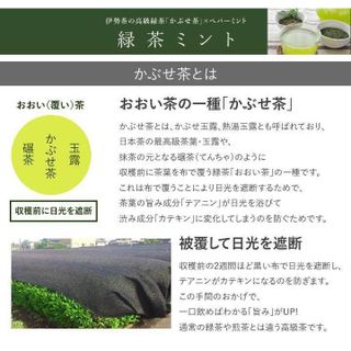 水出し 緑茶ミント かぶせ茶×ペパーミント スティックパックの画像 2枚目