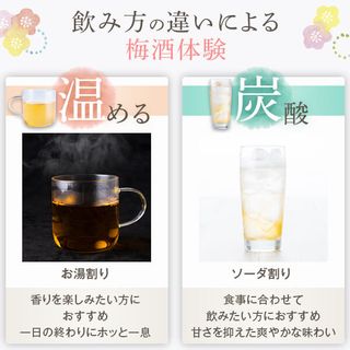 上等梅酒 黒糖  720ml ‎本坊酒造株式会社のサムネイル画像 3枚目