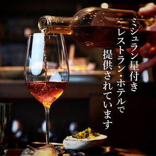 古昔の美酒(いにしえのびしゅ)2009松藤梅酒の画像 3枚目