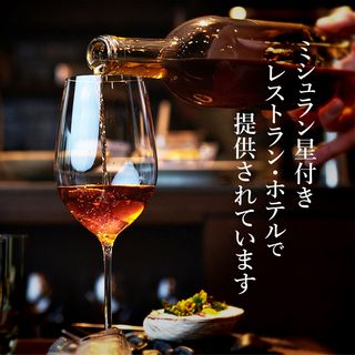 古昔の美酒（いにしえのびしゅ）2009松藤梅酒 株式会社匠創生　のサムネイル画像 3枚目