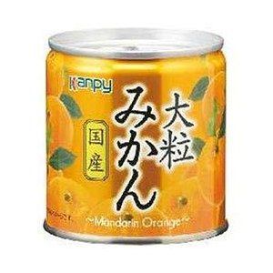 大粒みかん 国産　12缶セット 加藤産業株式会社のサムネイル画像