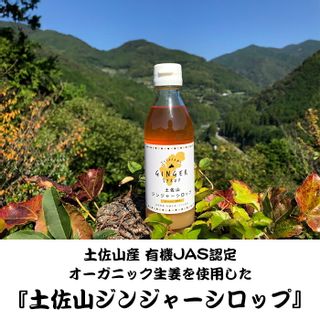 土佐山ジンジャーシロップ 200ml 一般財団法人夢産地とさやま開発公社のサムネイル画像 2枚目