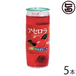 果実入りアセロラドリンク 5本の画像 1枚目
