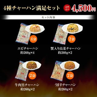 4種チャーハン満足セット 皇朝のサムネイル画像 3枚目