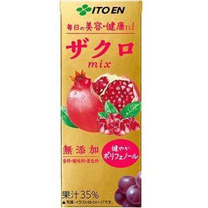 エコパック ザクロmix　(紙パック) 200ml ×24本 伊藤園のサムネイル画像 1枚目