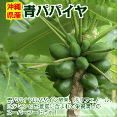 沖縄県産　青パパイヤ まるみつ青果のサムネイル画像 2枚目