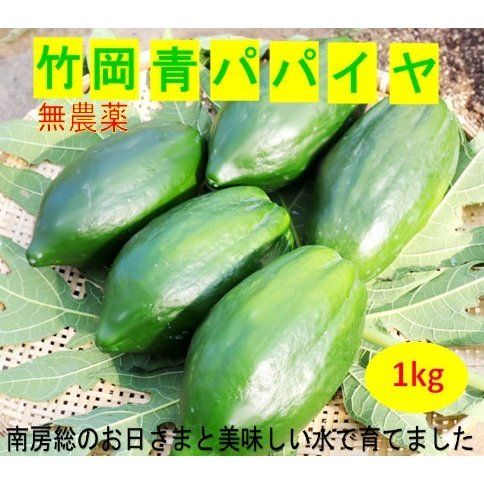 千葉県富津市産 青パパイヤ 約1kg（1〜3玉）の画像